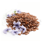 Alsi _ Flax Seeds